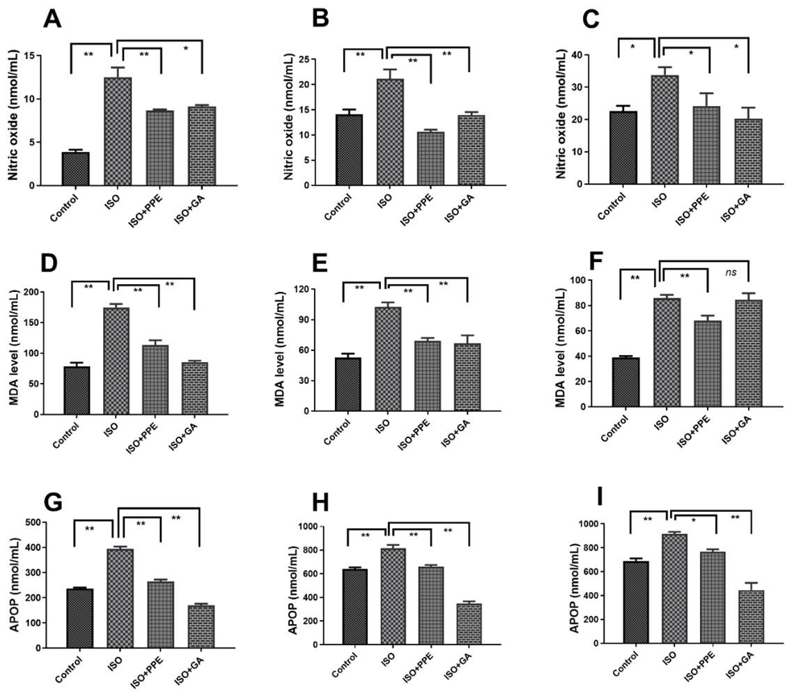 Pomegranate fruit peel extract improves cardiac functions via suppressing oxidative stress, fibrosis, and myocardial infarction in Long-Evans rats