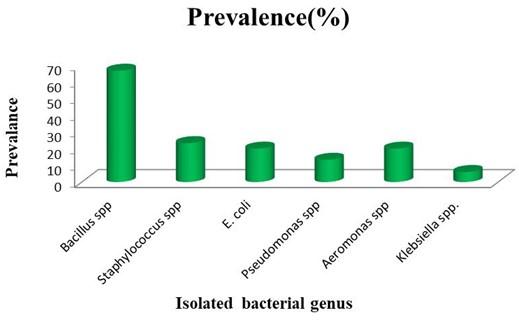 Evaluation of density metric grading of agarwood, antioxidant potentiality in agar oil, and prevalence of unknown bacteria in agarwood soaking water