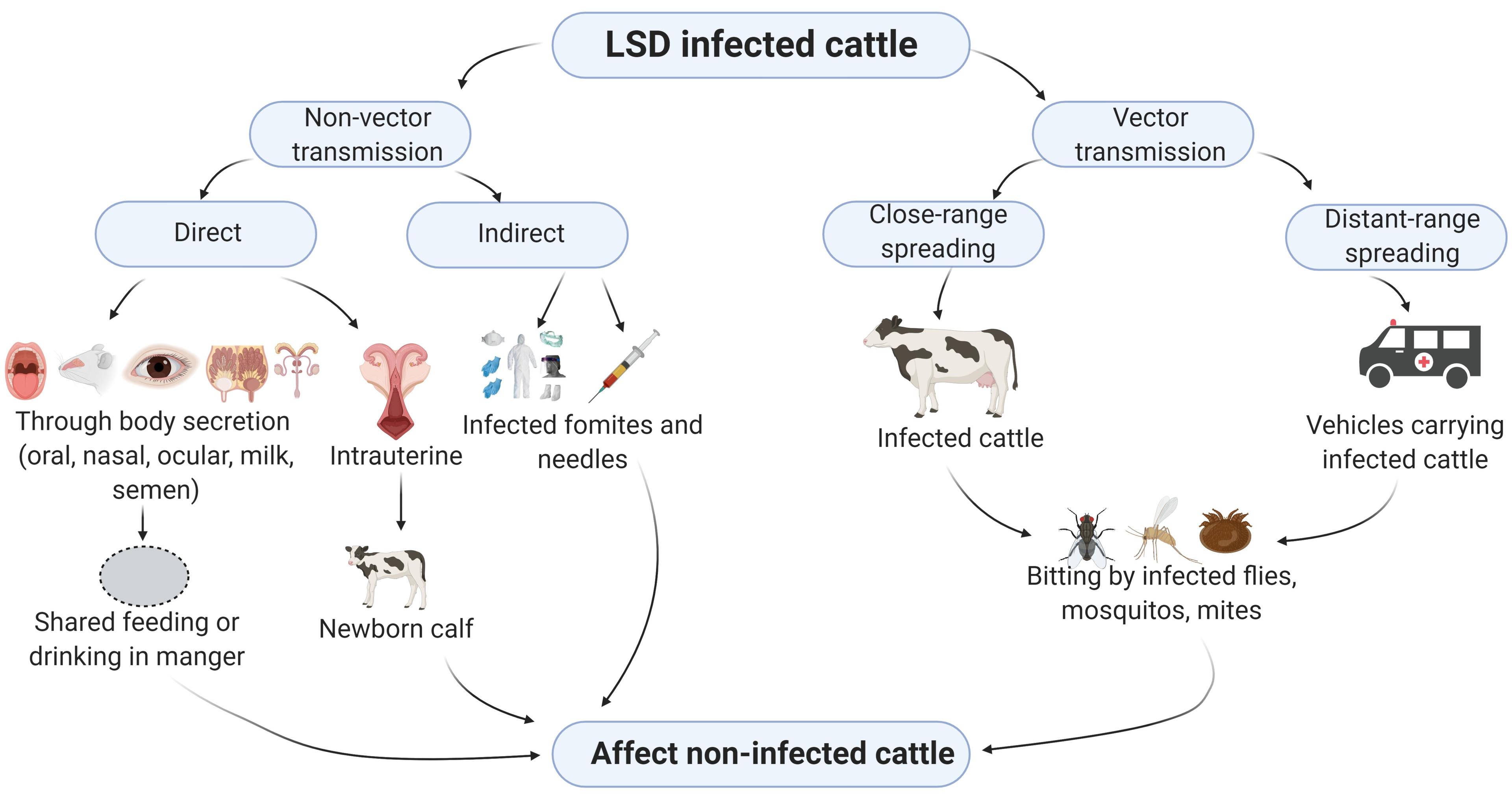 An updated review on lumpy skin disease: a perspective of Southeast Asian countries