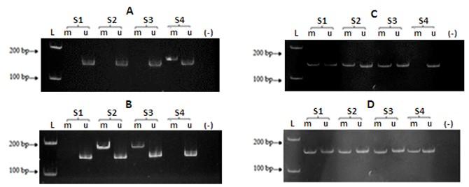 Aberrant methylation of CDKN2A, RASSF1A and WIF1 in sporadic adenocarcinomatous colorectal cancer: Associations with clinicopathological features