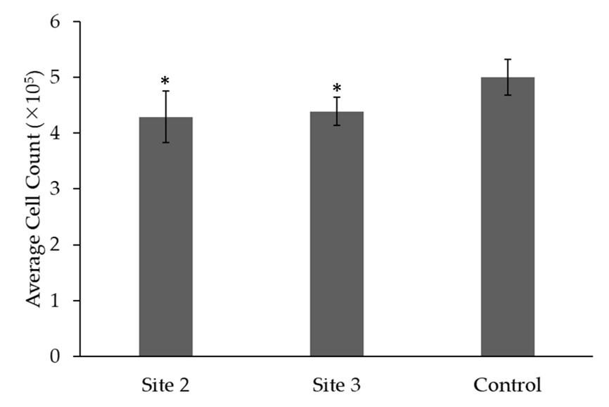 Evaluation of the effectiveness of low-level laser therapy on proliferation of fibroblasts isolated from chronic wounds in human in vitro