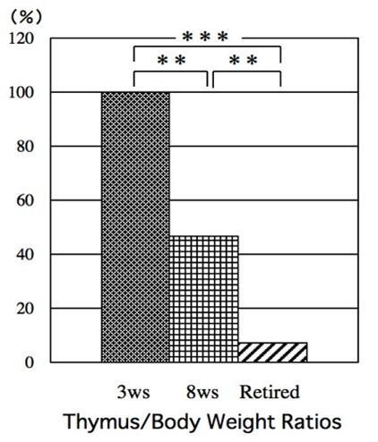 Tyrosine phosphorylation related to thymic involution induced by diet restriction in comparison with aging