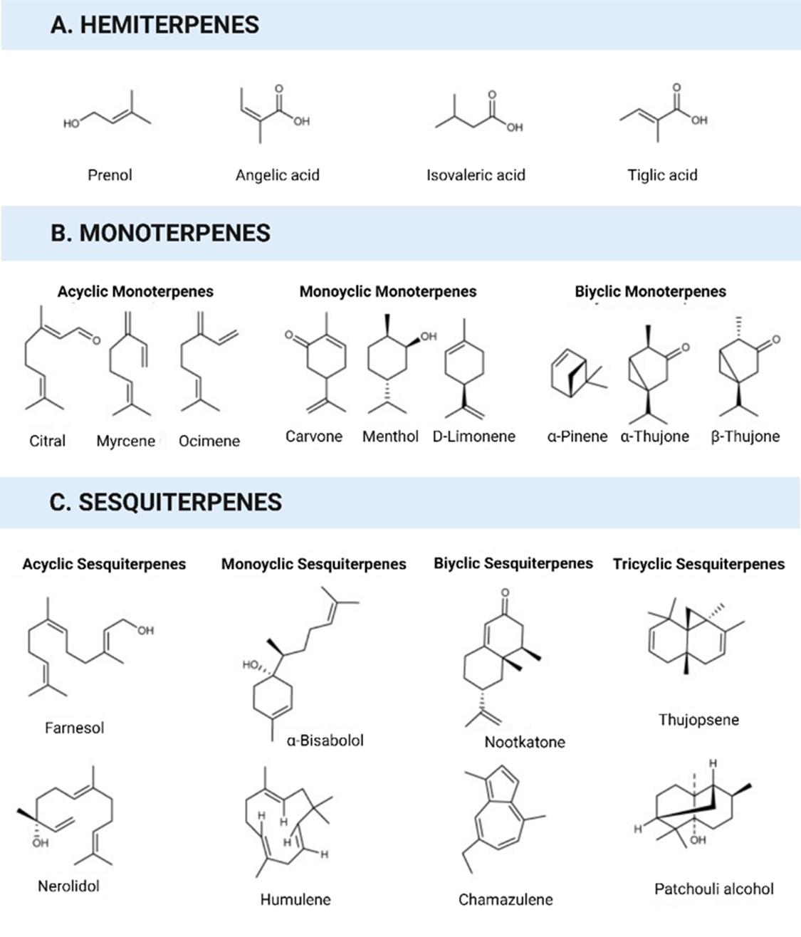 Antiviral potential of terpenoids against major viral infections: Recent advances, challenges, and opportunities