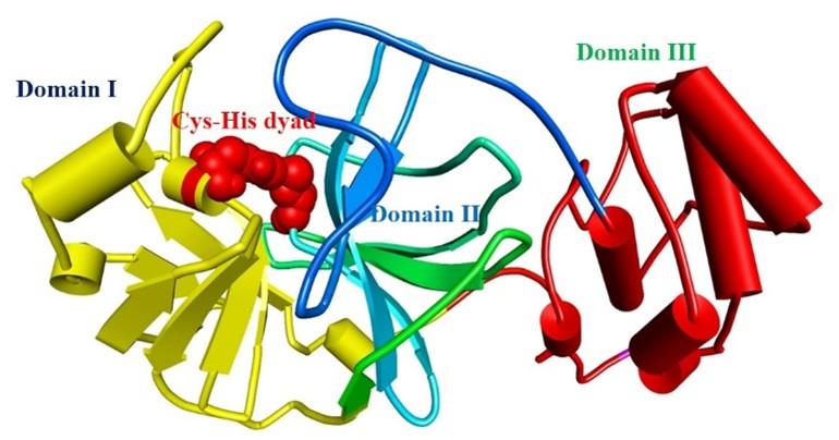 Identification of potential SARS-CoV-2 main protease inhibitors from Ficus Carica Latex: An in-silico approach