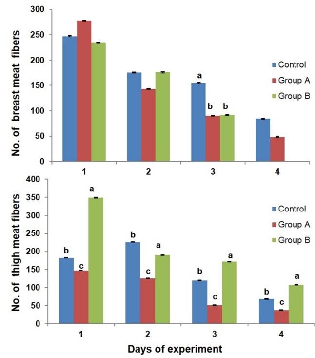 Adaptations of muscular biology in response to potential glucocorticoid treatment in broiler chicken