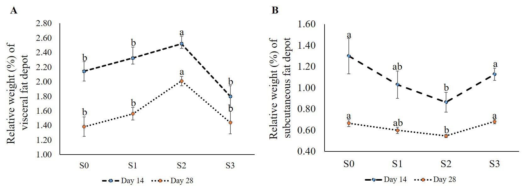 Effects of Clove and Tulsi supplementation on the dynamics and cellularity of adipose tissue in the visceral and subcutaneous fat depots in Broiler