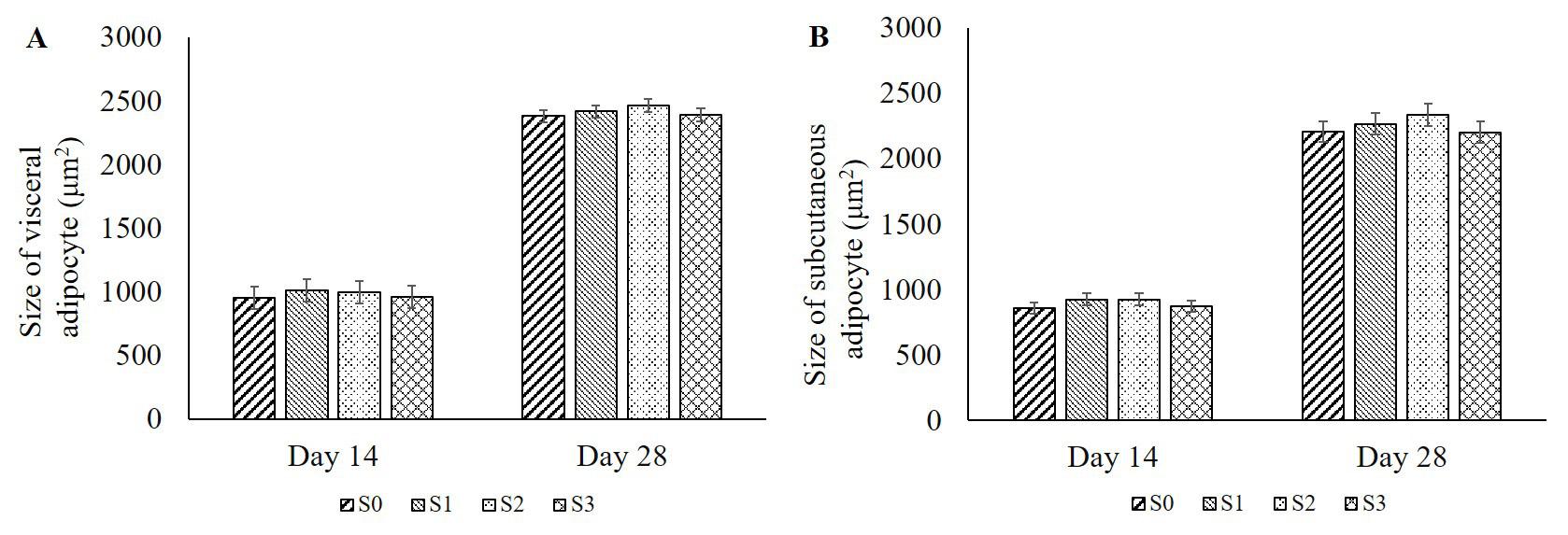 Effects of Clove and Tulsi supplementation on the dynamics and cellularity of adipose tissue in the visceral and subcutaneous fat depots in Broiler