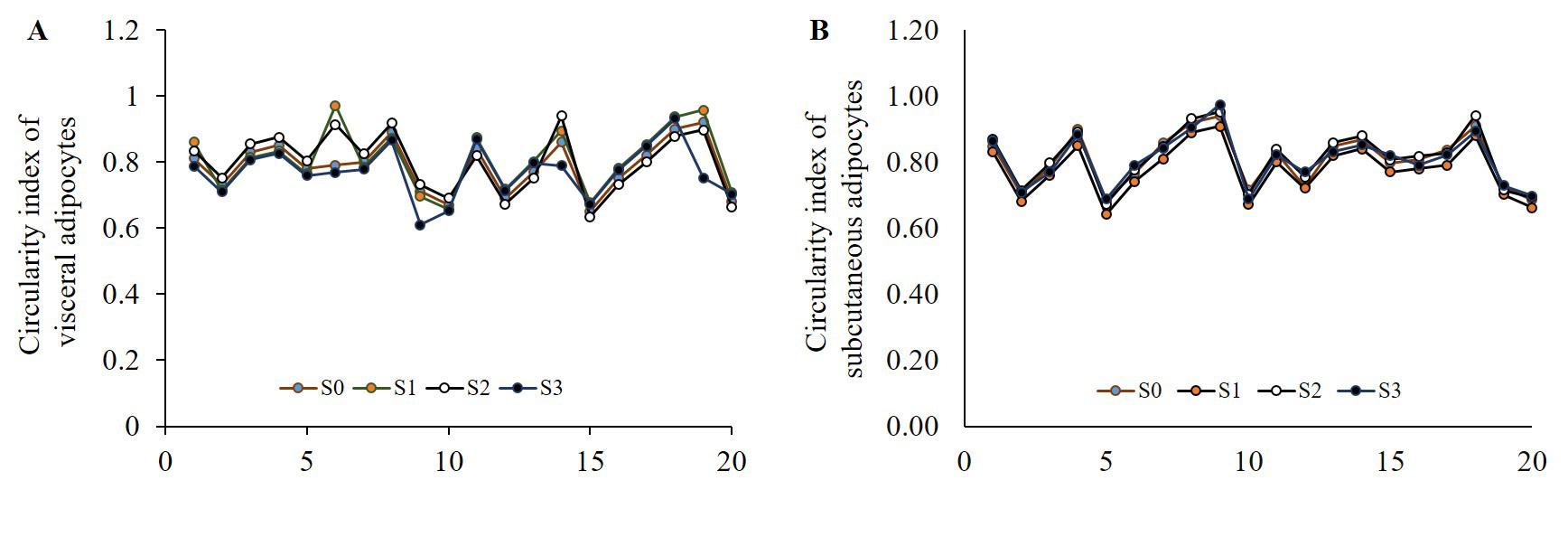 Effects of Clove and Tulsi supplementation on the dynamics and cellularity of adipose tissue in the visceral and subcutaneous fat depots in Broiler