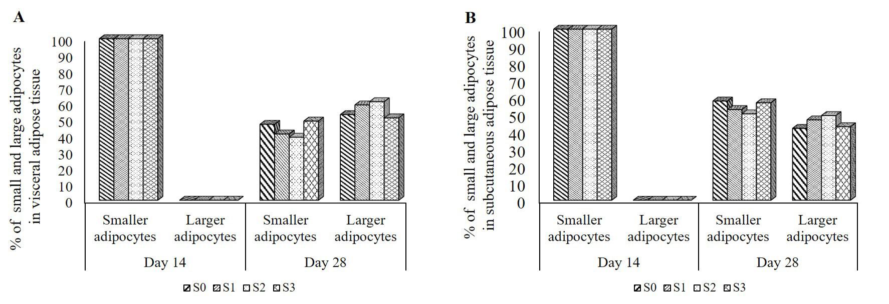 Effects of Clove and Tulsi supplementation on the dynamics and cellularity of adipose tissue in the visceral and subcutaneous fat depots in Broiler