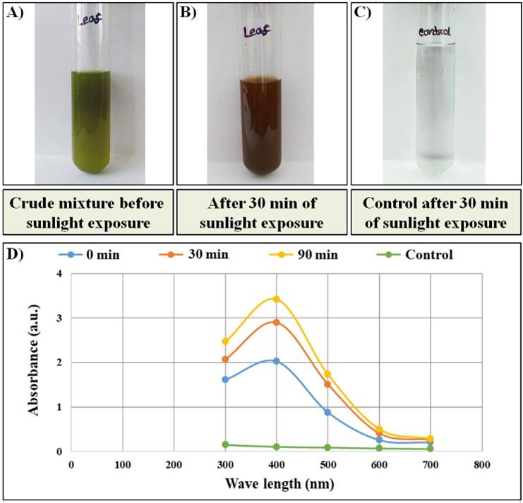 Antibacterial potential of synthesized silver nanoparticles from leaf extract of Moringa oleifera