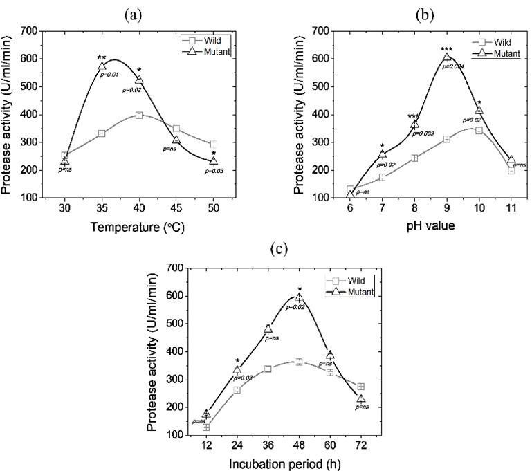 Developing Pseudomonas aeruginosa mutants with hyper-proteolytic activity through UV mutagenesis and characterization for optimized production