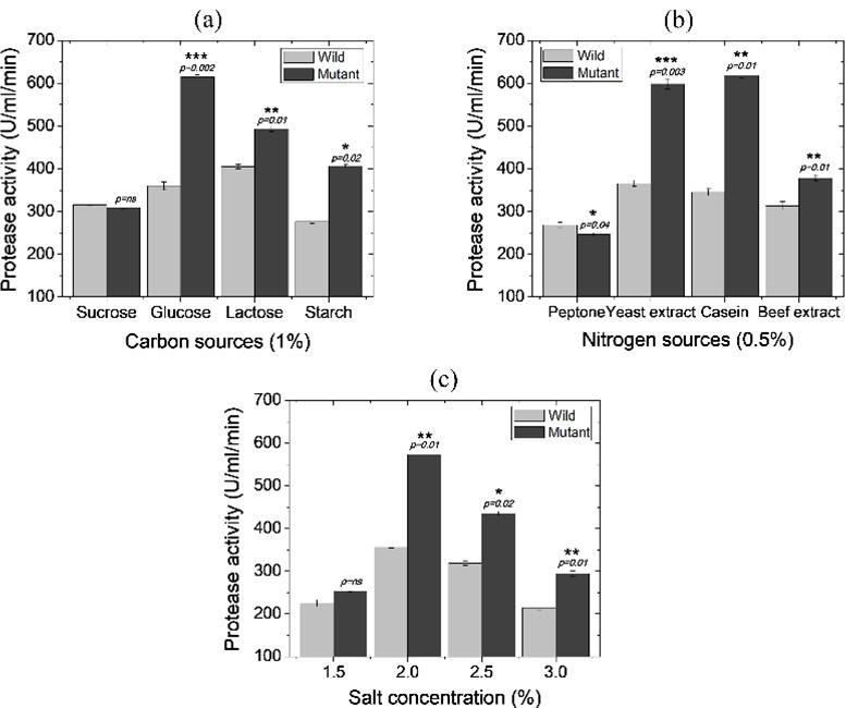 Developing Pseudomonas aeruginosa mutants with hyper-proteolytic activity through UV mutagenesis and characterization for optimized production