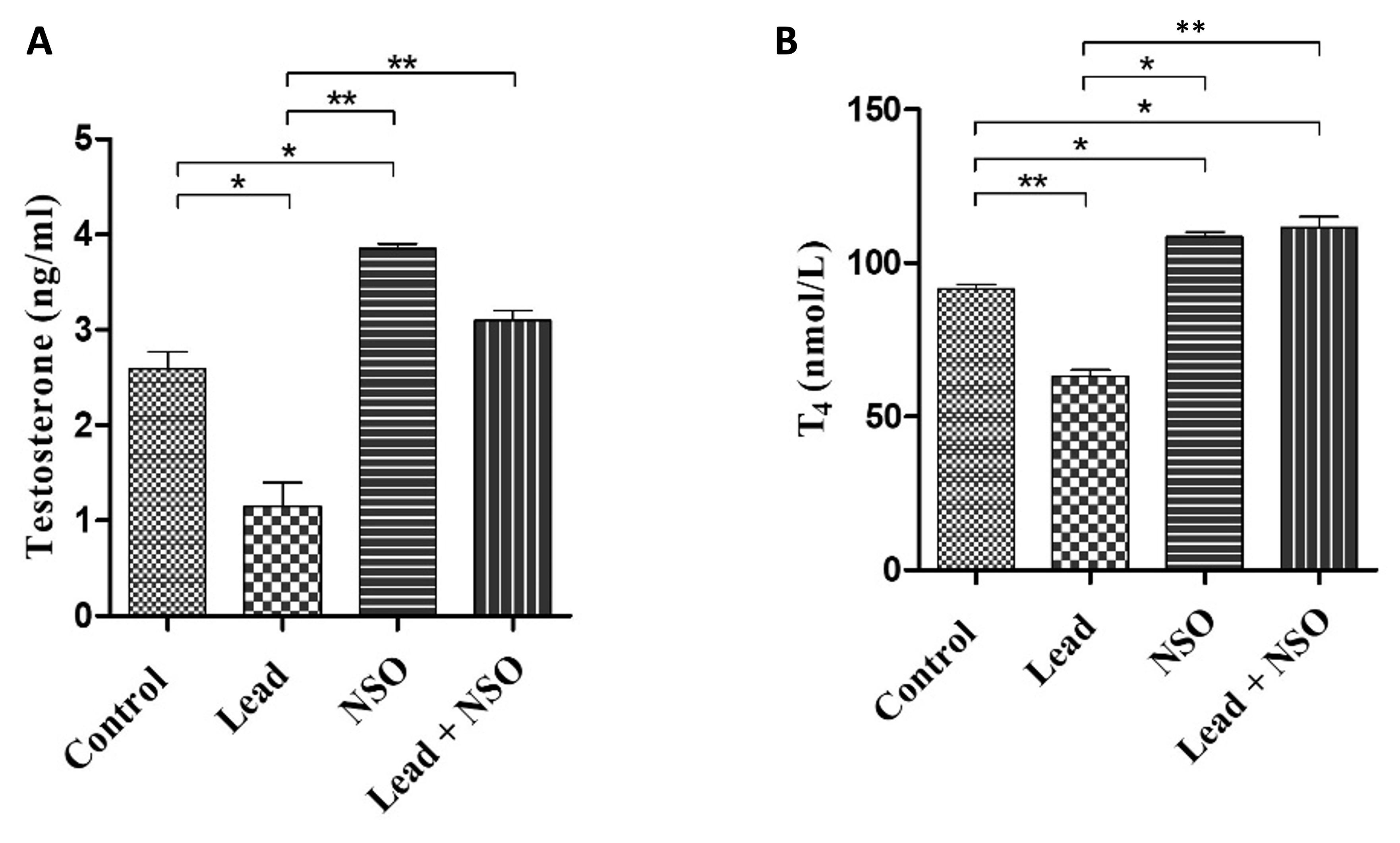 Gonadal health benefits of black cumin (<span>Nigella sativa</span>) seed oil on chronic lead-exposed male Wistar rats