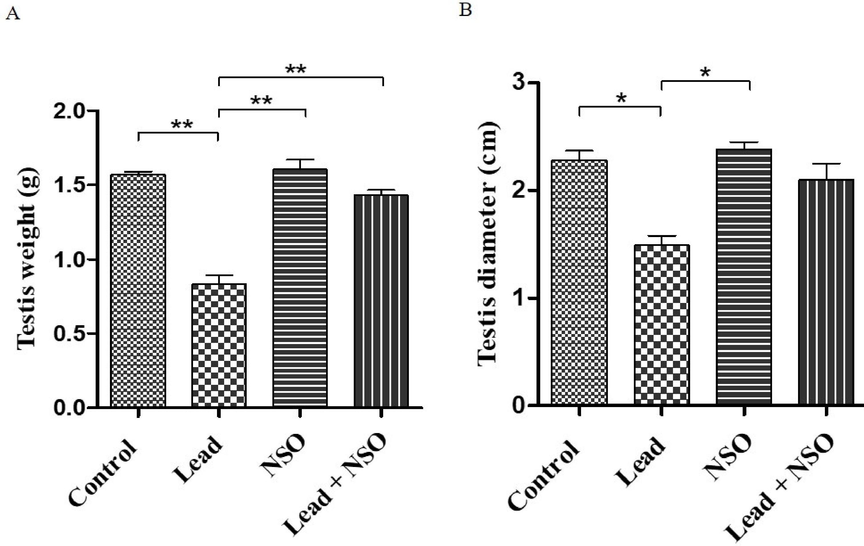 Gonadal health benefits of black cumin (<span>Nigella sativa</span>) seed oil on chronic lead-exposed male Wistar rats