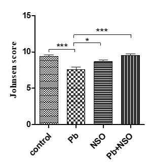 Gonadal health benefits of black cumin (<span>Nigella sativa</span>) seed oil on chronic lead-exposed male Wistar rats