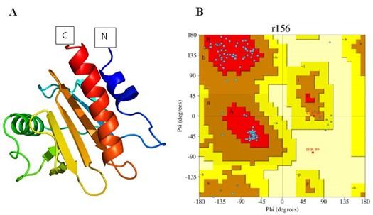 Analysis of maize profilin-4 isoform as an allergen