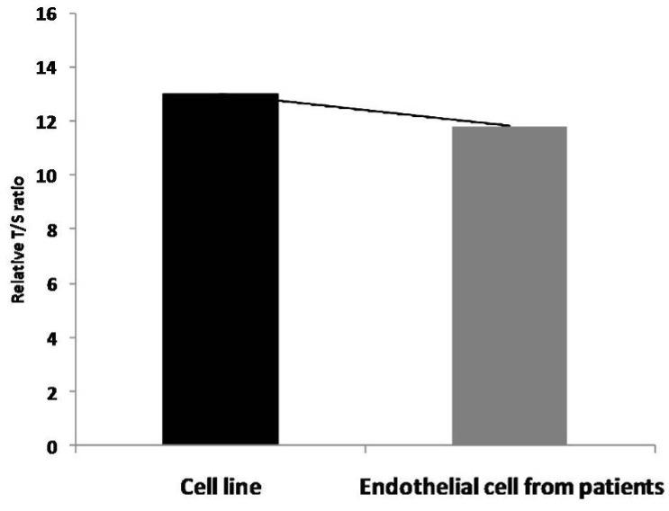 Analysis of telomere length in the coronary artery to determine the pathogenesis of coronary artery disease