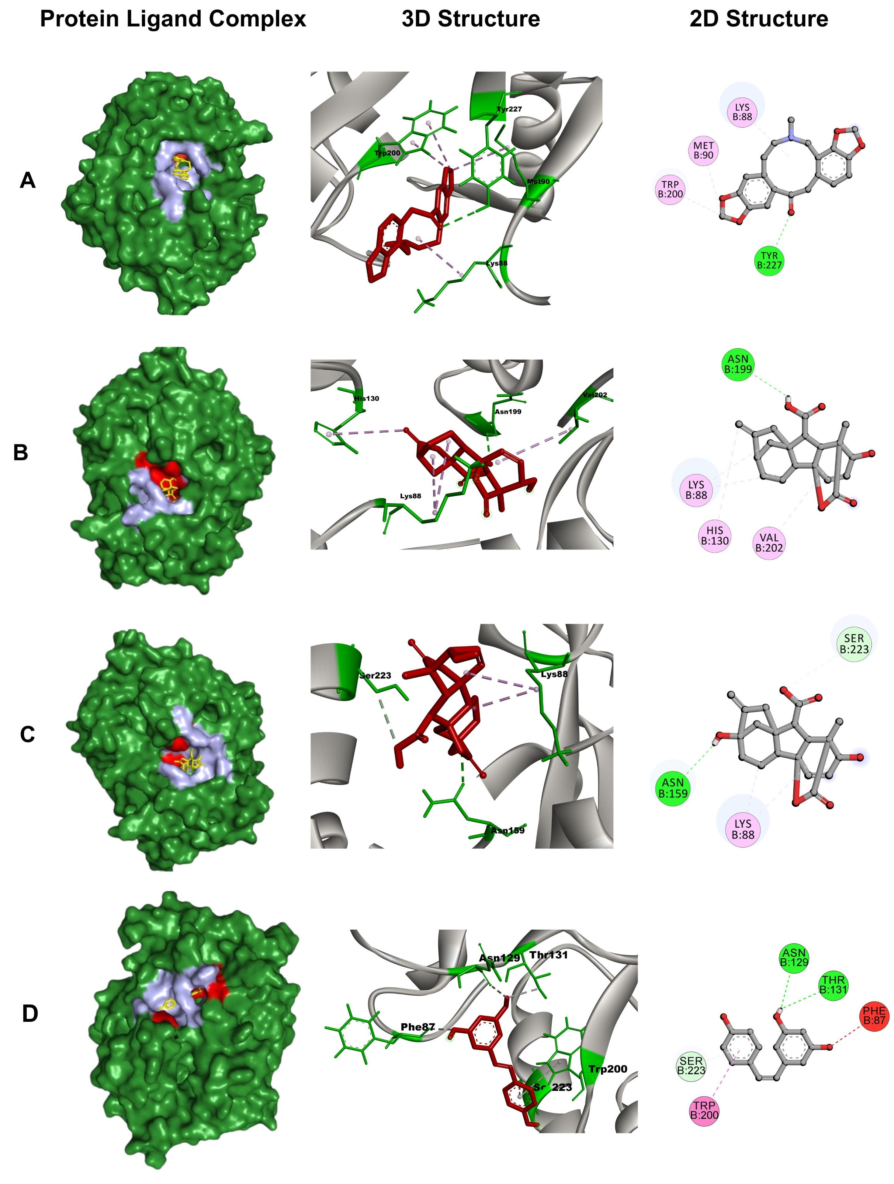 Computational analysis of <span>Allium sativum</span> compounds to identify thermolabile hemolysin inhibitors against <span>Vibrio alginolyticus</span> in shrimp