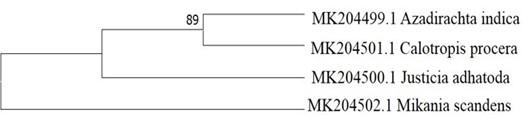 Molecular identification of four medicinal plants using DNA barcoding approach from Chittagong, Bangladesh