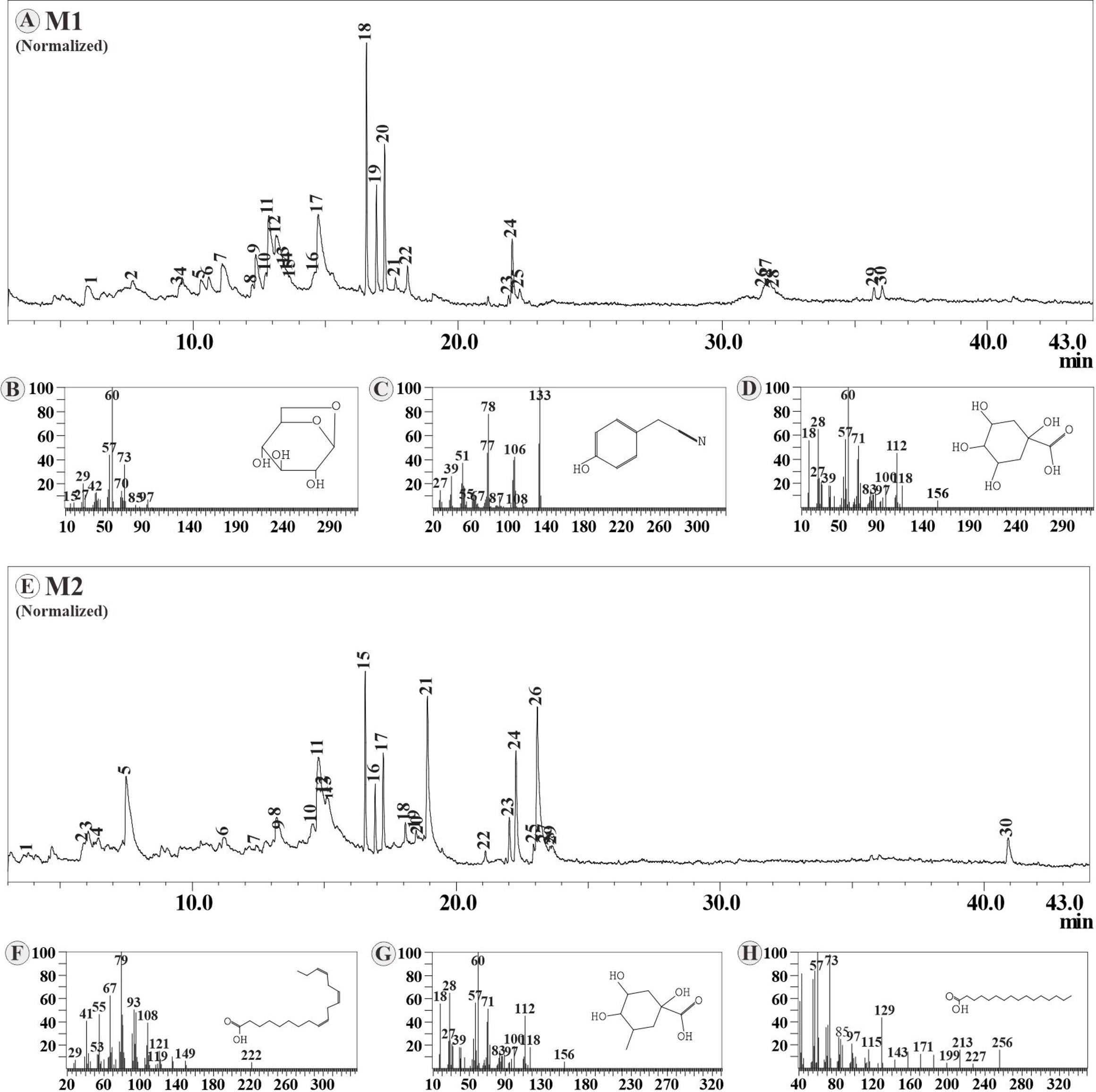 Effect of geographical and agroclimatic location on phytocompounds and antioxidant activity of <span>Moringa oleifera</span> leaves