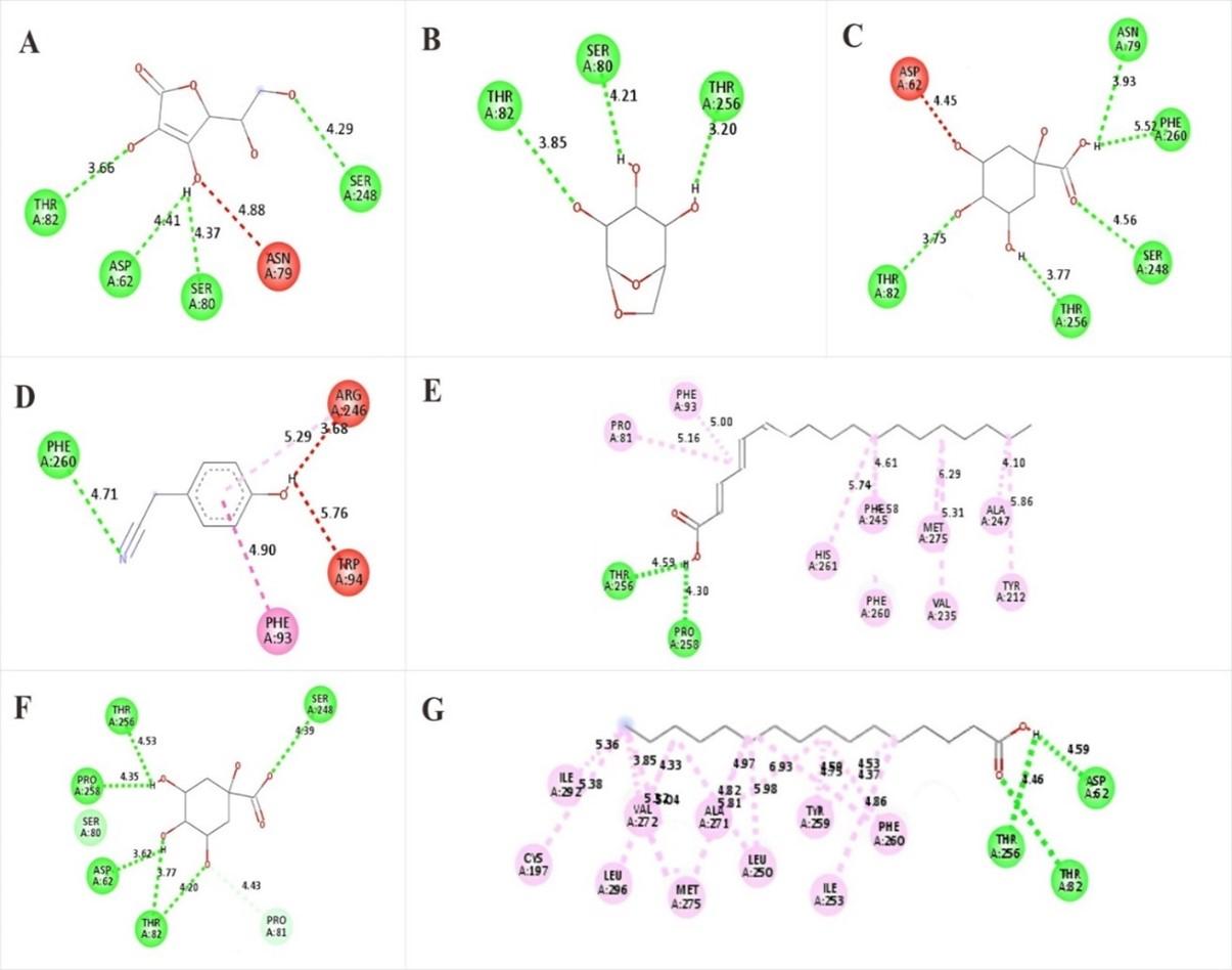 Effect of geographical and agroclimatic location on phytocompounds and antioxidant activity of <span>Moringa oleifera</span> leaves