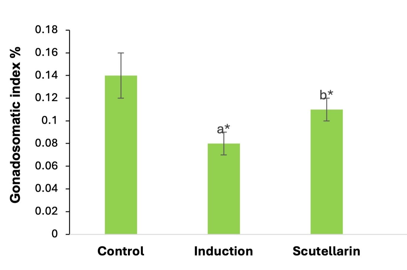 Impact of scutellarin on cyclophosphamide-induced testicular damage in Sprague Dawley male rats