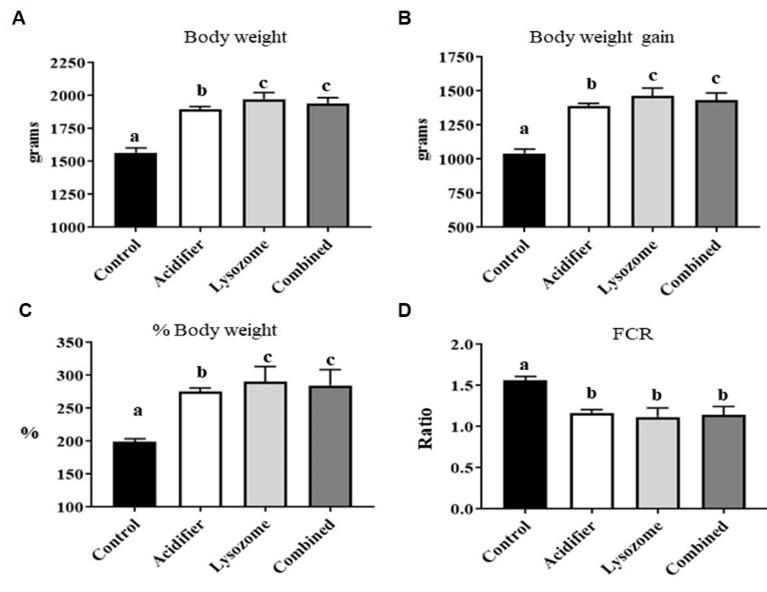 Dietary acidifier and lysozyme improve growth performances and hemato-biochemical profile in broiler chicken