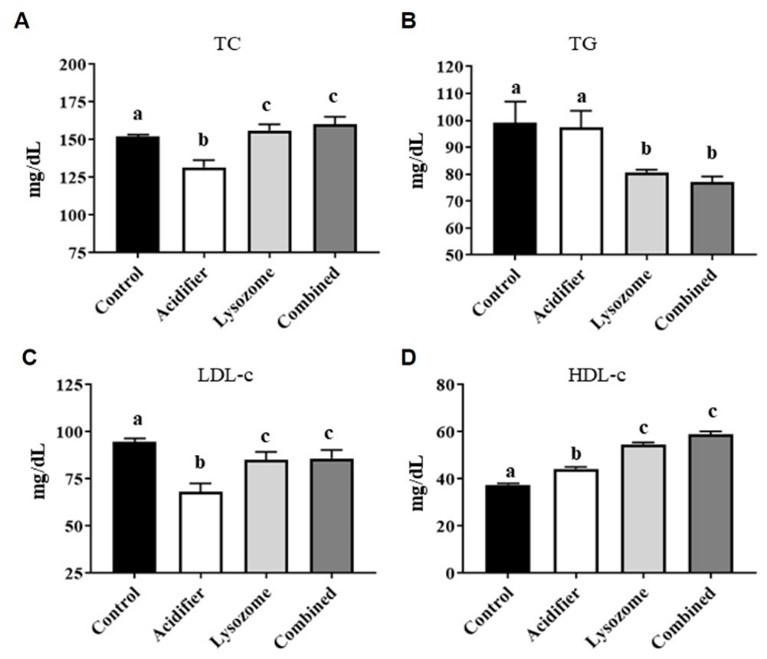 Dietary acidifier and lysozyme improve growth performances and hemato-biochemical profile in broiler chicken