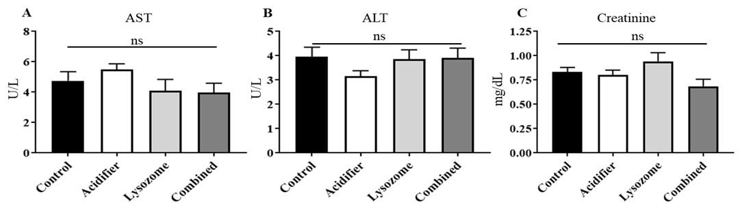 Dietary acidifier and lysozyme improve growth performances and hemato-biochemical profile in broiler chicken