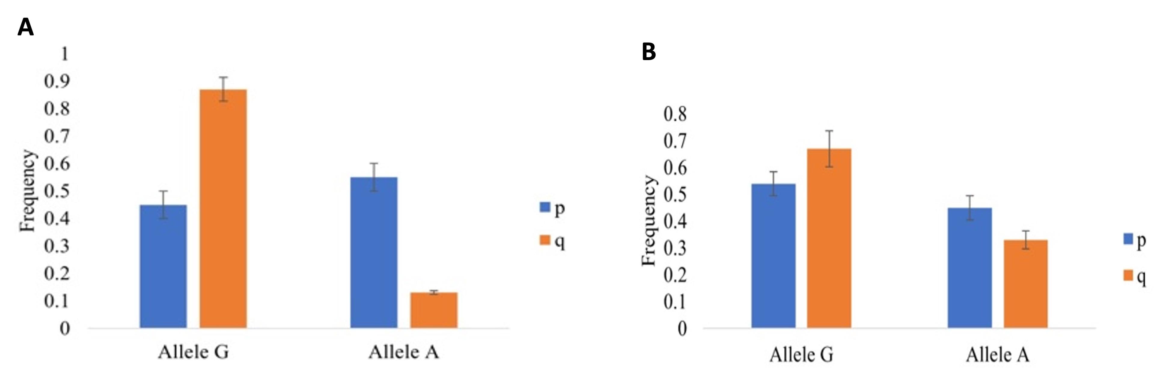 Polymorphisms in the leptin gene and their role in adolescent obesity and metabolic health