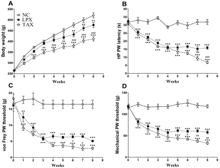 DHP107, a novel oral paclitaxel formulation induces less peripheral neuropathic pain and pain-related molecular alteration than intravenous paclitaxel preparation in rat