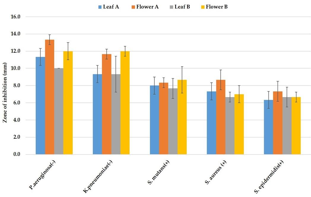 Antibacterial activity of silver nanoparticles synthesized from leaf and flower extracts of Galinsoga formosa