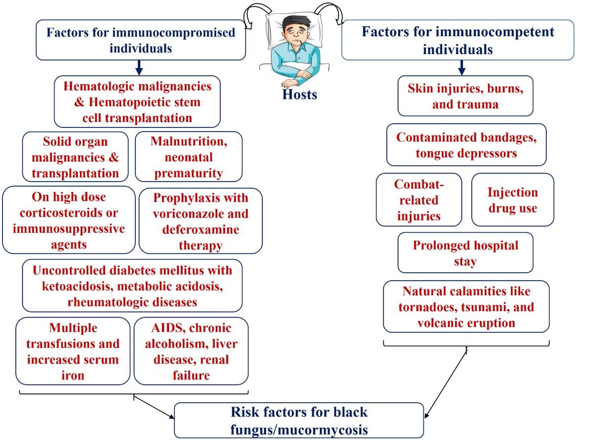 Mucormycosis (black fungus) and its impact on the COVID-19 patients: An updated review