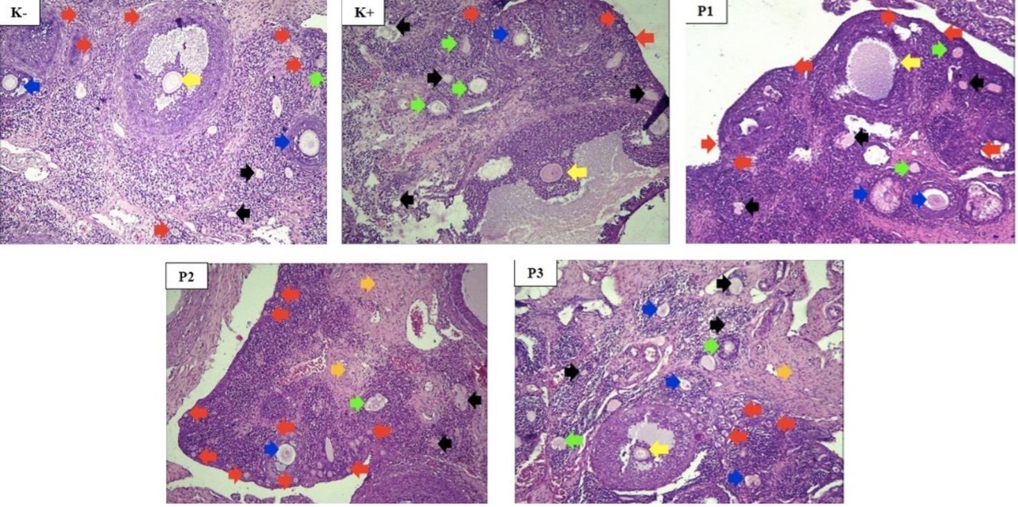 Hypoglycemic effects of propolis extract on polycystic ovarian syndrome in Wistar rats