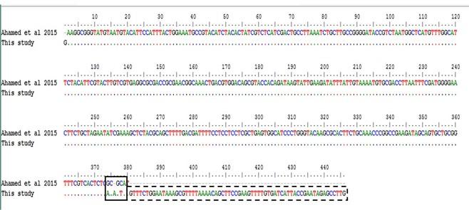 Comparative molecular analysis of contemporary isolates of duck plague virus from haor areas of Bangladesh