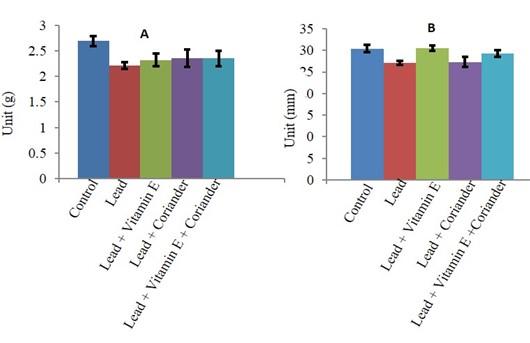 Prophylactic effect of vitamin E and coriander (Coriandrum sativum) seed extract against lead toxicity in liver of Swiss albino mice