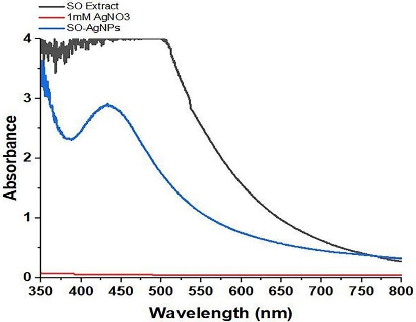 <span>Salvia officinalis</span>-mediated synthesis of silver nanoparticles: Characterization and sub-acute toxicity profile in Wistar rats
