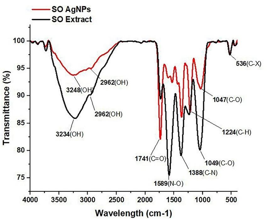 <span>Salvia officinalis</span>-mediated synthesis of silver nanoparticles: Characterization and sub-acute toxicity profile in Wistar rats