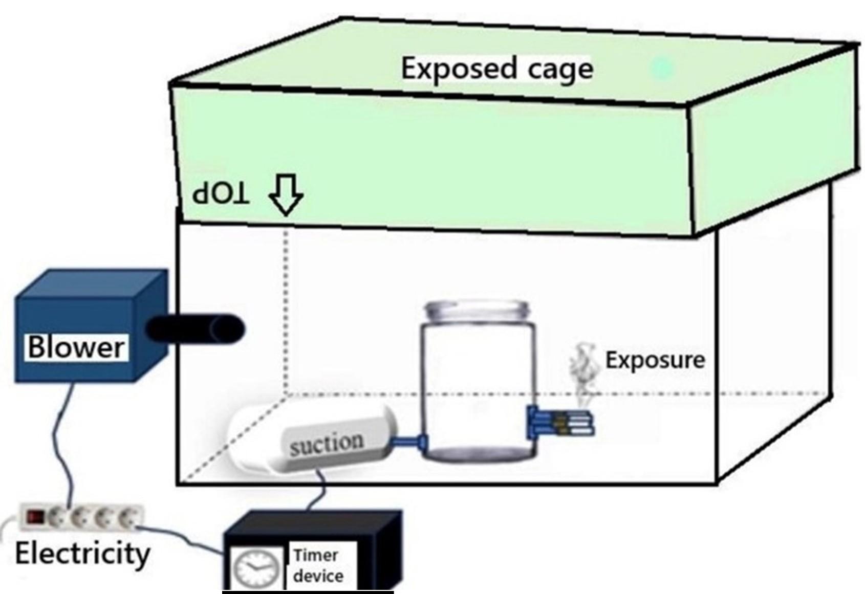 Effect of pyridoxine in attenuating pulmonary pyroptosis-induced by third-hand smoke exposure: An in silico and in vivo study in male Wistar rats