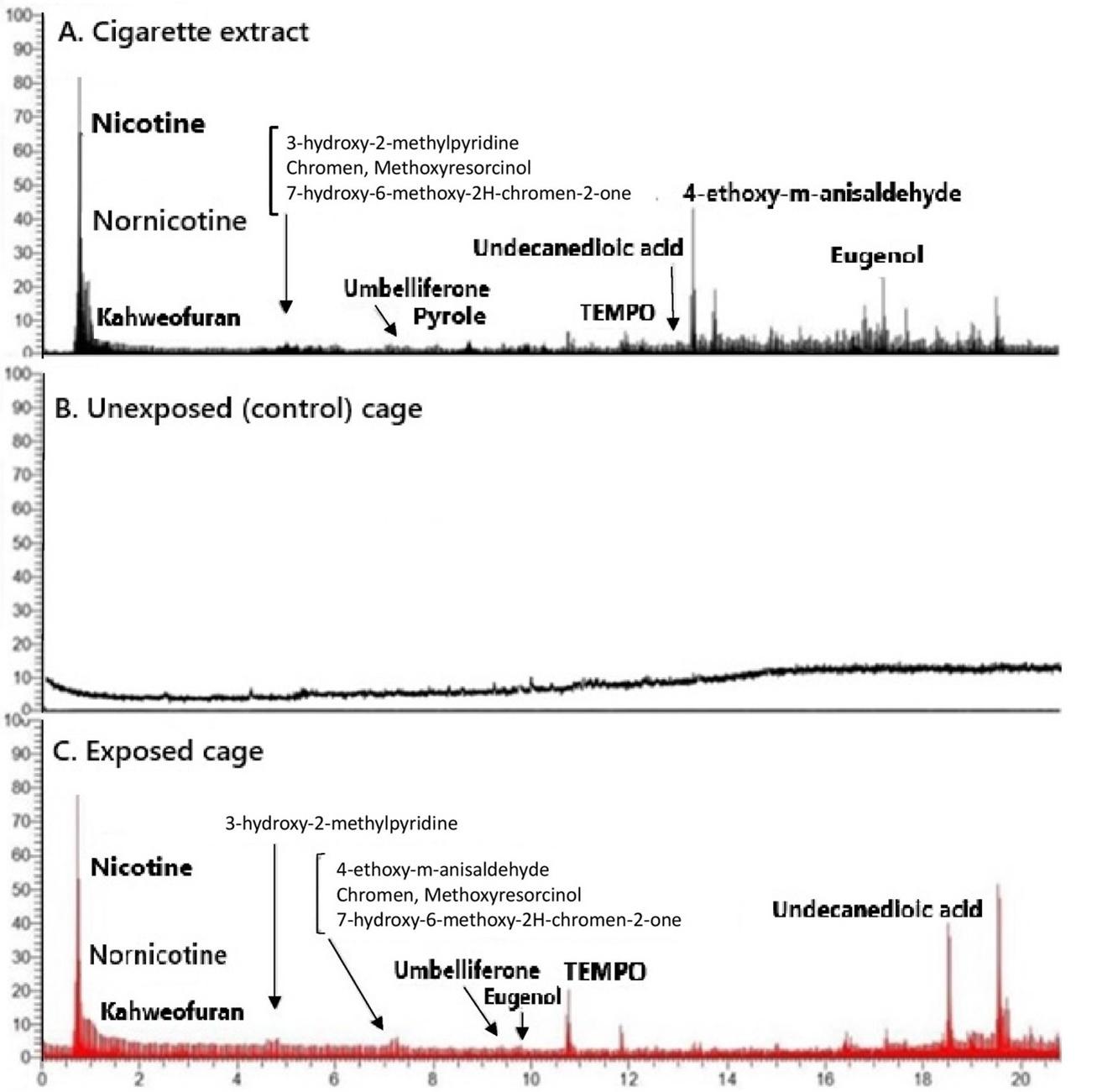 Effect of pyridoxine in attenuating pulmonary pyroptosis-induced by third-hand smoke exposure: An in silico and in vivo study in male Wistar rats