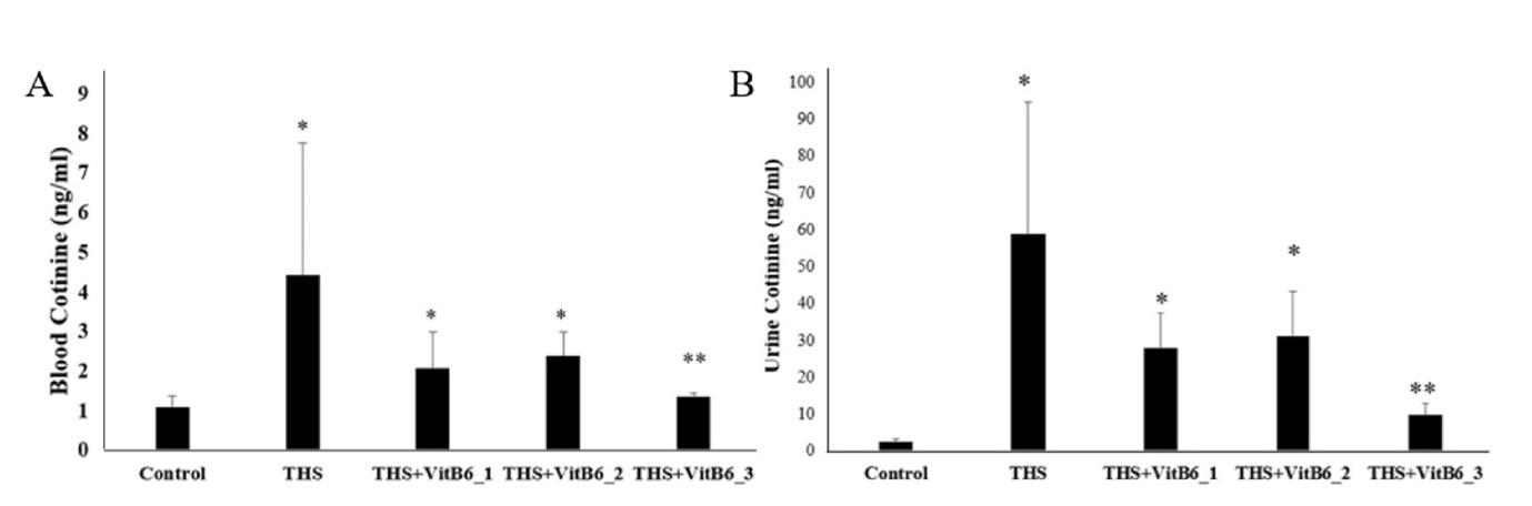 Effect of pyridoxine in attenuating pulmonary pyroptosis-induced by third-hand smoke exposure: An in silico and in vivo study in male Wistar rats