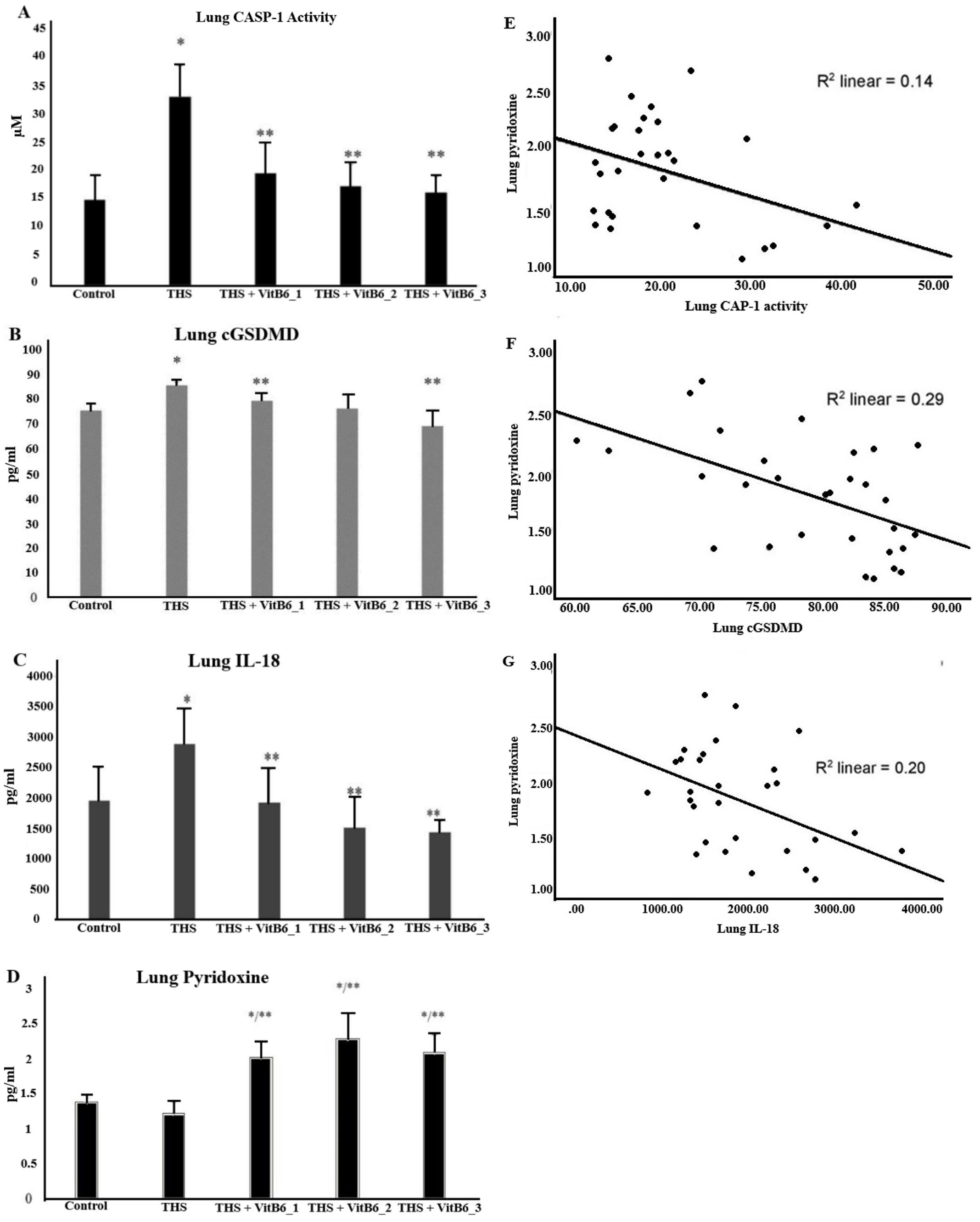 Effect of pyridoxine in attenuating pulmonary pyroptosis-induced by third-hand smoke exposure: An in silico and in vivo study in male Wistar rats