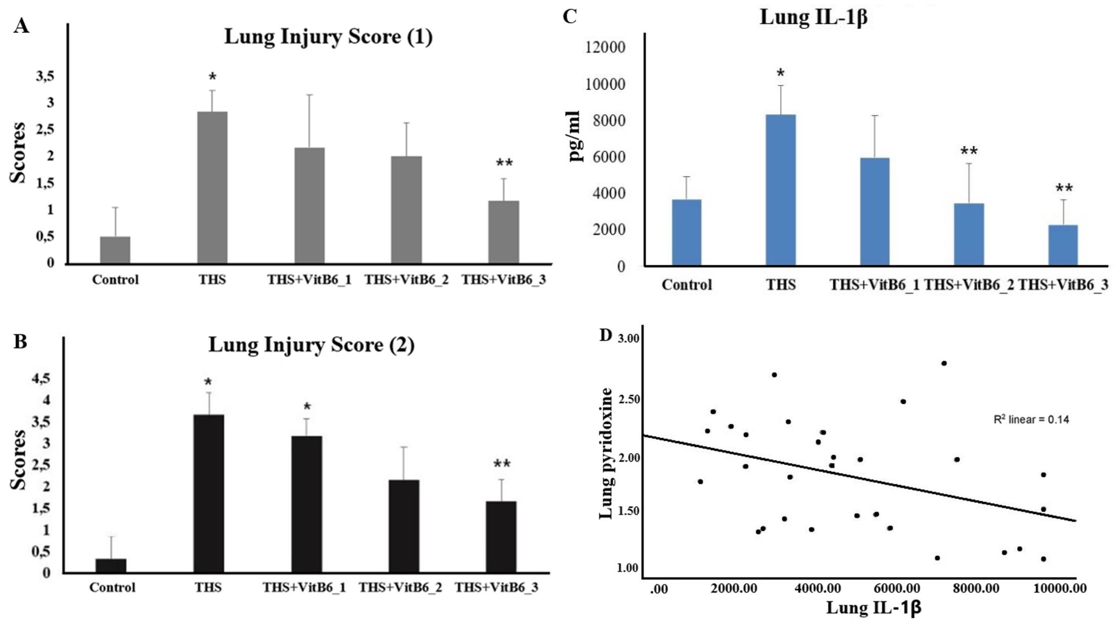 Effect of pyridoxine in attenuating pulmonary pyroptosis-induced by third-hand smoke exposure: An in silico and in vivo study in male Wistar rats