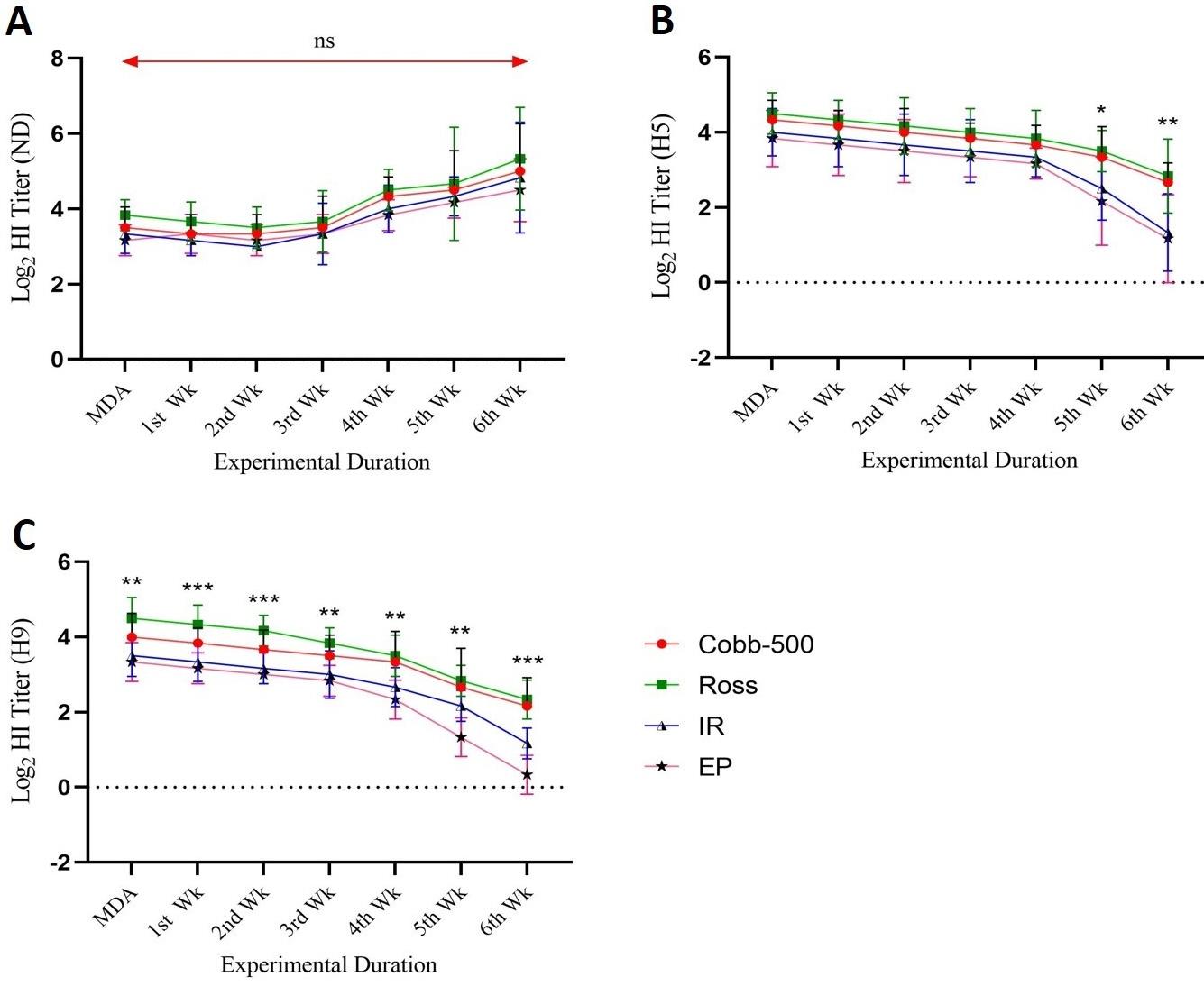 Selection of efficient broiler strain for productive performances and immunity under local farming system in Bangladesh