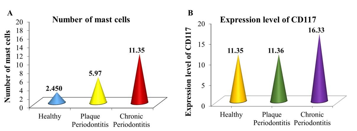 Role of CD117 and mast cells in periodontal diseases: Histological and immunohistochemical study