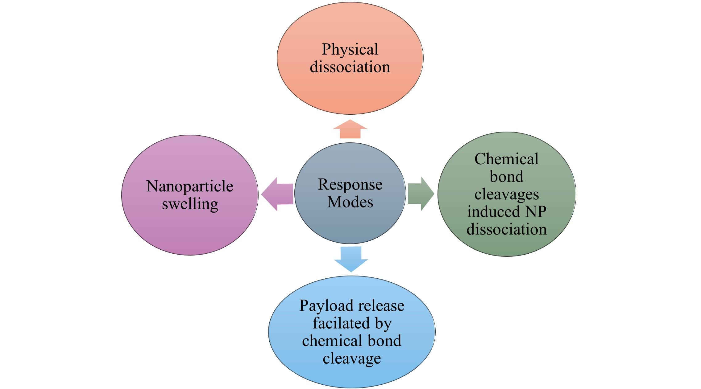 A comprehensive study on pH-sensitive nanoparticles for the efficient delivery of drugs