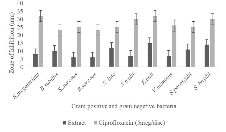 In vitro evaluation of antioxidant and antimicrobial properties of <span>Cordia mocleodii</span>   leaf extract