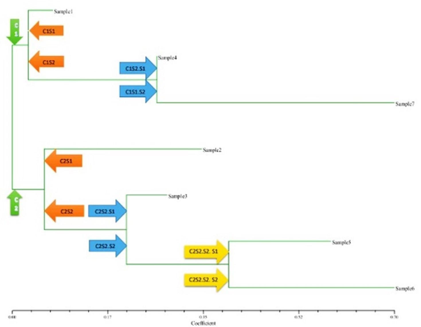 RAPD-markers assisted genetic diversity analysis and <span>Bt-Cry1Ac</span> gene identification in eggplant (<span>Solanum melongena</span> L.)