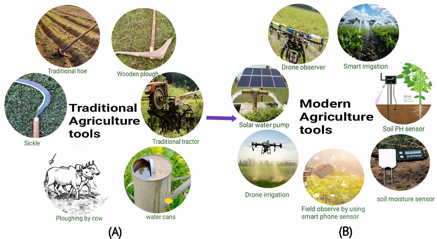 Leveraging modern technologies in agriculture: Recent progress and prospects in Bangladesh
