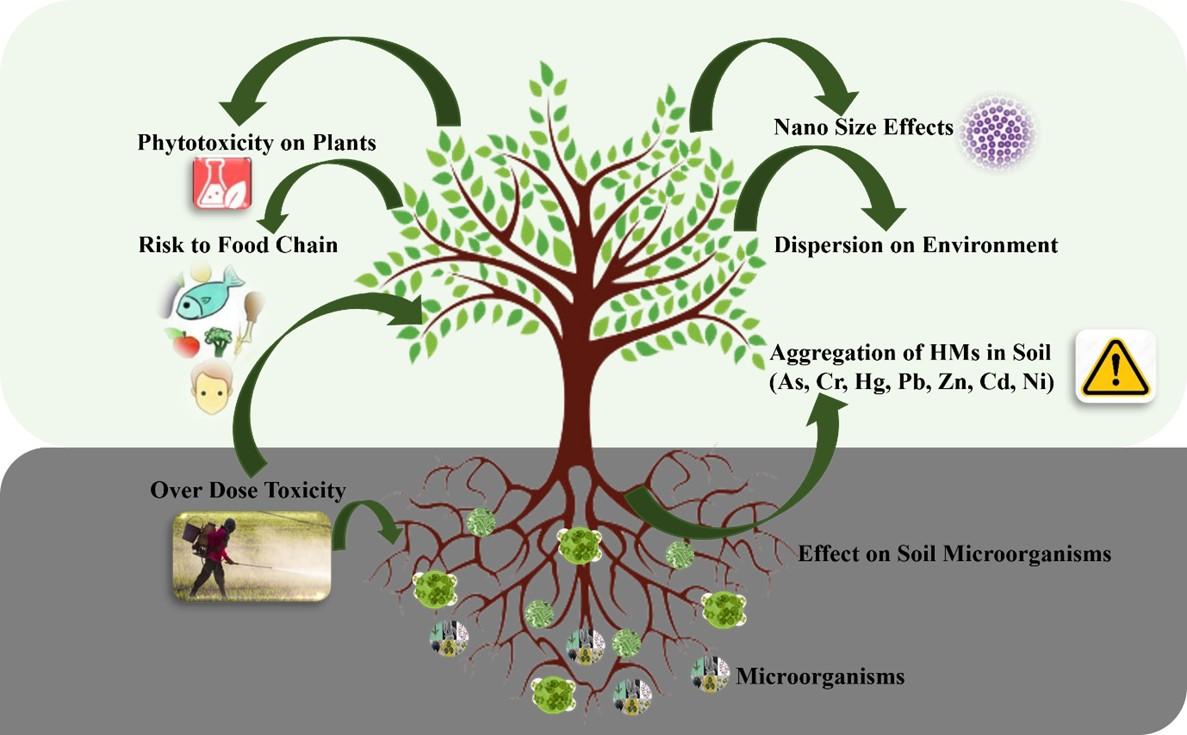 Harnessing plant–microorganism interactions for nano-bioremediation of heavy metals: Cutting-edge advances and mechanisms